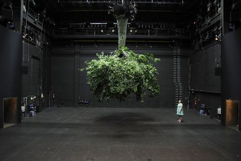 Nature Stage Design, Tree Stage Design, Scenic Design Theatres, Scenography Theatre, Child Of The Universe, Garden Of Earthly Delights, Hanging Tree, Conference Design, Theatre Design