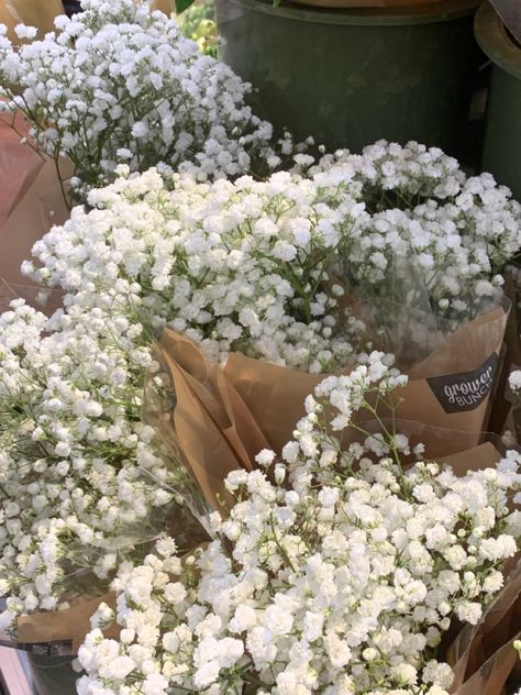 Spring White Aesthetic, Clean Flowers Aesthetic, Dainty White Flowers, White Flower Aesthetic, White + Core + Aesthetic, White Flowers Aesthetic, Grace Flower, Flowers Neutral, Little White Flowers