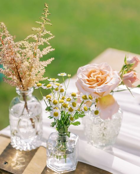 Bud vases 🌸 So simple. So impactful. Do you love the look of bud vases? Or are you team big centerpieces? Photographer// @racheltweggsphotography Planning and rentals// @forestandfern_rentals Big Centerpieces, Small Glass Vases, Bud Vases, Glass Vase, Vase, Photographer, Glass, Quick Saves