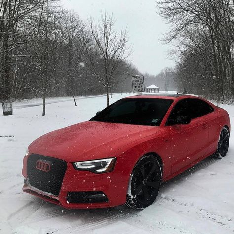 7,001 Likes, 26 Comments - Audivines (@audivines) on Instagram: “Snow day!  Follow @audigasm for Audi videos  @audigasm @audigasm Photo by @audis5_nick --- #audi…” Red Audi, Matte Cars, Audi S5 Sportback, Luxury Cars Audi, Lux Cars, Audi S5, Audi Rs6, Audi Sport, Super Luxury Cars