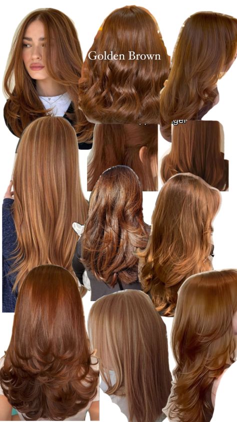 Mid Level Haircut, Chestnut Brown Hair Aesthetic, Cinnamon Bob Hair, Rare Hair Colors Natural, Light Hazel Hair, Color Hair For Brown Eyes, Copper Brown With Money Piece, Light Brown Hair On Medium Skin Tone, Hair Dye Colors For Tan Skin