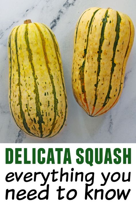 Delicata squash everything you need to know pinterest pin How To Cook Delicate Squash, Delicata Squash Plant, Squash Recipes Delicata, Cooking Delicata Squash, Freezing Delicata Squash, Delicada Squash Recipes, How To Freeze Delicata Squash, Growing Delicata Squash, Recipes For Delicata Squash