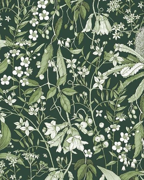 Edith Rewa Barrett | Snippet of illustrated wrapping paper design for Hervey Bay Regional Gallery. Commissioned to celebrate some local plants of the Fraser… | Instagram Wrapping Paper Design Pattern, Edith Rewa, Hervey Bay, Wrapping Paper Design, Graphic Patterns, Paper Design, Wrapping Paper, To Draw, Swirl