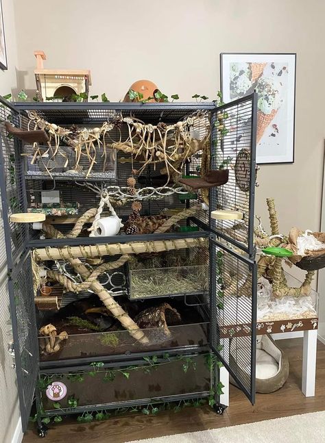 Natural Rat Cage Setup, Rat Cage Aesthetic, Rat Free Roam Area, Rat Enclosure, Rat Enrichment, Rat Cage Ideas, Rat Cage Diy, Pet Rat Cages, Indoor Rabbit Cage