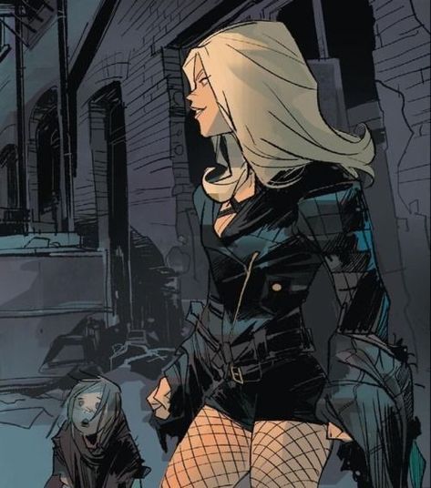 Black Canary Costume, Black Canary Comic, Concept Art Landscape, Arrow Black Canary, Marvel Character Design, Otto Schmidt, Canary Birds, Lance Black, Blond Amsterdam