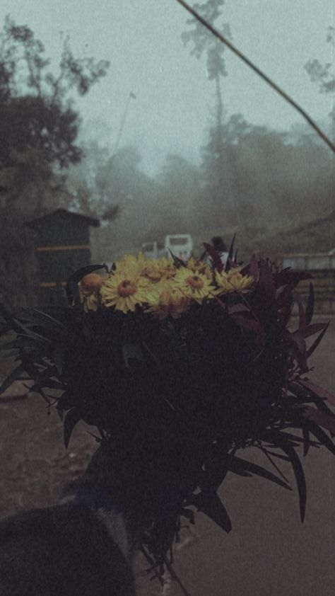 Kodaikanal Aesthetic, Kodaikanal, Flowers Love, Flowers, Quick Saves