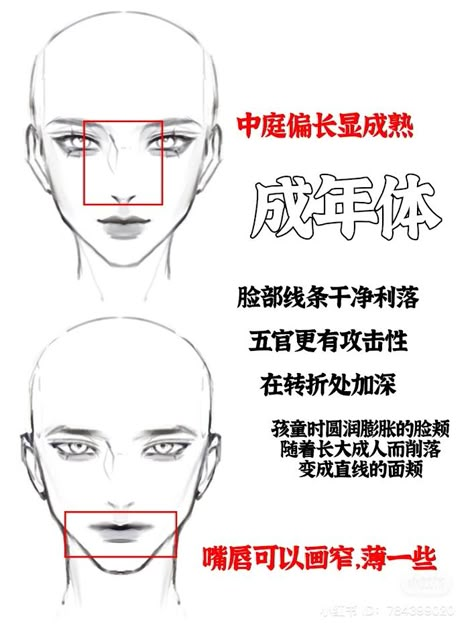 male and female face drawing tutorial Male And Female Head Reference, Face Shape Guide Drawing Anime, How To Draw Manhwa Face, How To Draw Manhwa Style Tutorial, Male Facial Structure, Manhwa Face Reference, Face Point Of View Drawing, How To Draw Male Face Tutorials, Male Face Reference Drawing Front View