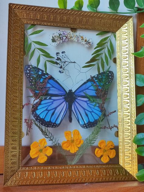 Pressed flowers with butterfly sticker in a vintage second hand golden framr Pressed Butterfly, Dark Acadamia, Cottagecore Dark, Flowers Butterfly, Pressed Flower Art, Flowers Art, Pressed Flower, Butterfly Art, Pressed Flowers