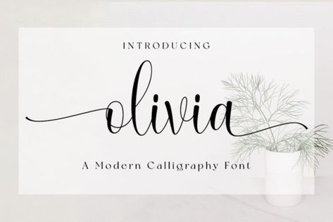 Olivia Script & Handwritten Font By fanastudio Olivia In Calligraphy, Modern Calligraphy Fonts, Galentines Day, Diy Cricut, Cricut Tutorials, Handwritten Font, Calligraphy Fonts, Valentine Day Crafts, Modern Calligraphy