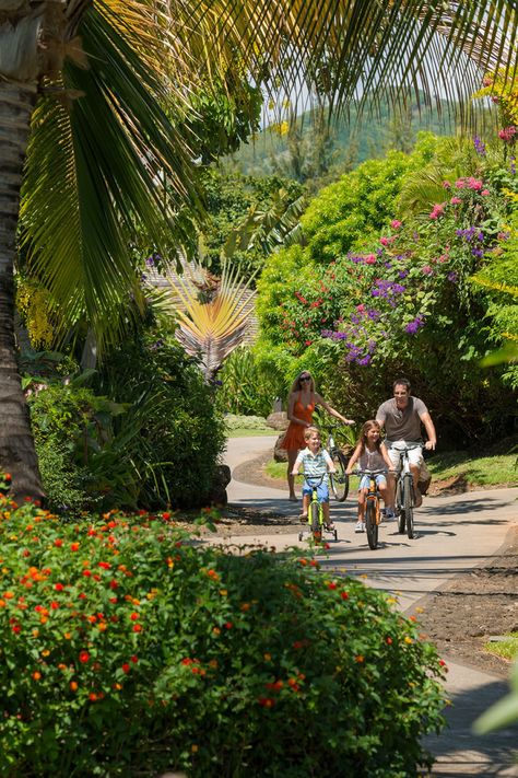 There’s room for the whole family in a private Pool Villa. Book this offer to enjoy daily breakfast and dinner, plus complimentary lunch for children under 12. FAMILY OFFER HIGLIGHTS Daily complimentary lunch for children under 12 years of age when they are dining with a paying adult Always included: Complimentary daily golf, including green fees and use of the driving range Four Seasons Mauritius, Family Trip Aesthetic, Family Holiday Aesthetic, Island House Tropical, Family Vacations In The Us, Family Trip Ideas, Resort Activities, Cheap Family Vacations, Vacations In The Us