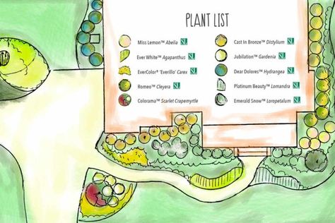 Join us as we plant a cottage landscape with Southern Living Plants. #gardenplan #southernliving #cottage Landscape Plans Front Yard, Clay Logo, Southern Landscaping, Acreage Landscaping, Diy Front Yard, Cottage Landscape, Southern Living Plant Collection, Front Yard Landscape, Southern Living Plants