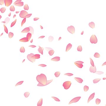 Leaves Falling Drawing, Flower Vector Png, Falling Drawing, Cherry Blossom Leaves, Flor Vector, Draw Flowers Watercolor, Cherry Blossom Vector, Png Material, Realistic Flower Tattoo