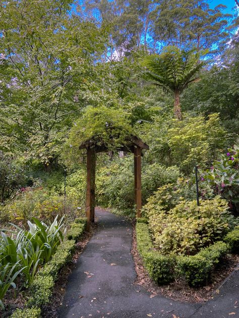 Mt Tamborine, Gold Coast, Australia, botanical gardens, aesthetic garden, mystical garden, garden walkway, aesthetic Mt Tamborine, Botanical Gardens