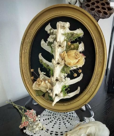 Gothic Animal Skull Decor, Goth Antler Decor, Bone Oddity Art, Diy Oddity Decor, Vulture Culture Decor, Animal Bones Decor, Skull Taxidermy Art, Cow Bone Art, Deer Bone Crafts