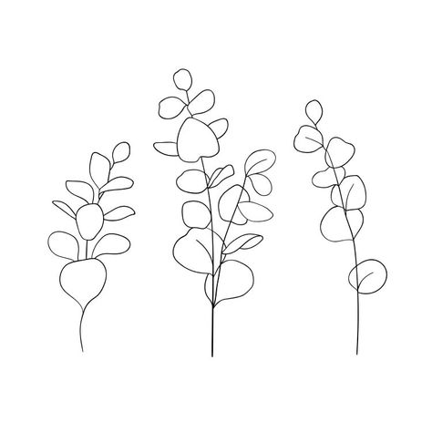 Simple Eucalyptus Drawing, Greenery Line Art, Line Art Eucalyptus, Eucalyptus Drawing Black And White, Eucalyptus Chalkboard Art, Eucalyptus Leaf Template, Eucalyptus Vine Tattoo, Simple Line Drawings Nature, How To Draw Eucalyptus Leaves