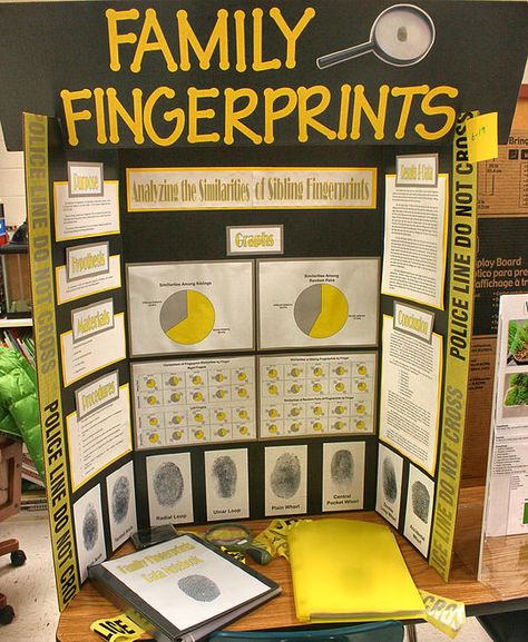 Great Science Project Boards | Easy Peasy Science Fair Projects Science Fair Topics, High School Science Projects, Science Project Board, Kids Science Fair Projects, Science Fair Board, Science Fair Projects Boards, Cool Science Fair Projects, School Science Projects, Sink Or Float