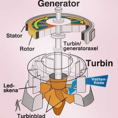 EngineeringPrinciples (@engineeringprinciples) en Instagram: "A Kaplan_Turbine...with its parts ...shown.... mostly these turbines are used in hydro power…" Hydroelectric Energy, Hydroelectric Generator, Hydro Power Plant, Hydroelectric Power Plant, Motor Listrik, Water Turbine, Electromagnetic Induction, Hydroelectric Power, Water Energy