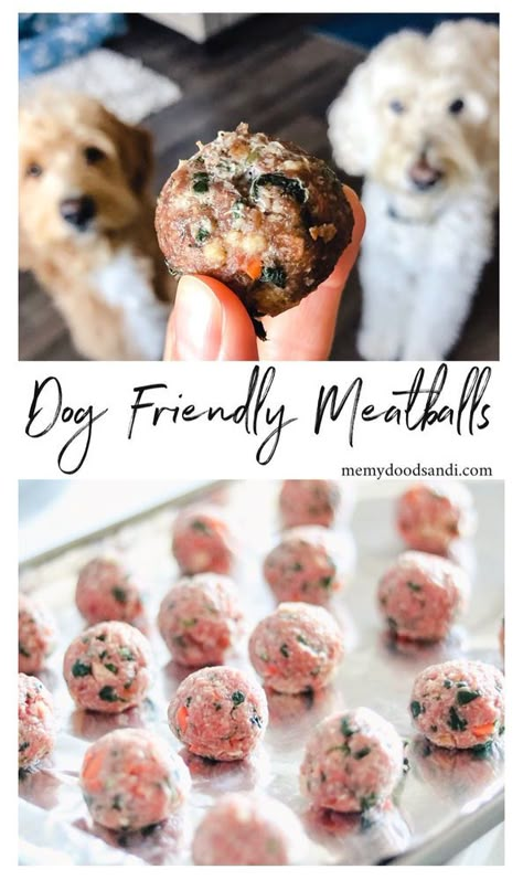 Dog Bday, Bacon Cookies, Pet Recipes, Easy Dog Treat Recipes, Dog Biscuit, Dog Biscuit Recipes, Easy Dog Treats, Healthy Dog Treats Homemade, Tasty Meatballs