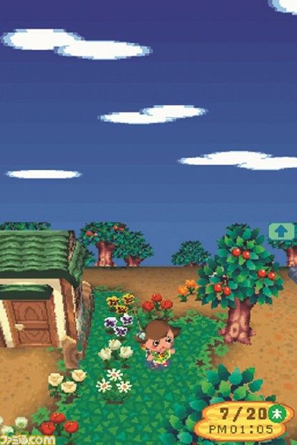 Wild World Animal Crossing, Old Animal Crossing, Animal Crossing Wallpaper, Ac New Leaf, Animal Crossing Fan Art, Animal Crossing Wild World, City Folk, Phone Theme, December 2024