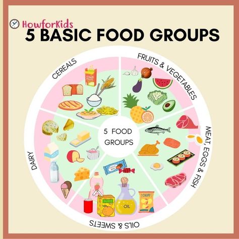 Food and Nutrients: Are They the Same? What are #Nutrients? #FoodGroups Nutrients Food Chart, Food Nutrients Chart, Food Groups Chart Free Printable, 5 Food Groups Activities, 5 Food Groups For Kids, Food Groups Chart, Food Chart For Kids, Food Groups For Kids, 5 Food Groups