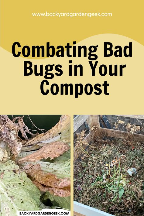 compost infested with aphids Pill Bug, Squash Bugs, Bad Bugs, Compost Pile, Composting Process, Get Rid Of Ants, Fire Ants, Spider Mites, Garden Food