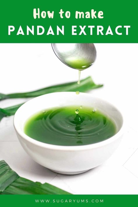 Spoon dropping pandan extract into white bowl Pandan Extract Recipes, Pandan Leaves Recipes, Pandan Brownies, Pandan Tea, Pandan Dessert, Pandan Recipe, Pandan Rice, Raya Cookies, Cookie Pudding Dessert