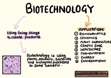 Biotechnology Careers, Biotechnology Art, Bio Technology, Biology Classroom, Basic Anatomy And Physiology, Environmental Research, Human Genome, Personalized Medicine, Technology Projects