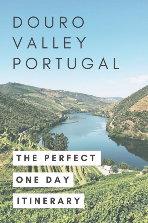 Best Wineries In Douro Valley, Douro Valley Portugal, Porto Travel, Portugal Trip, Portugal Vacation, Itinerary Ideas, Portugal Travel Guide, Wine Tourism, Boat Cruise