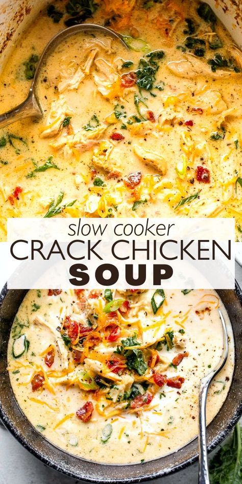 Tender Shredded Chicken, Bowl Chicken, Soup Recipes Slow Cooker, Crock Pot Soup, Ranch Seasoning, Recipes Slow Cooker, Chicken Soup Recipes, Crockpot Recipes Slow Cooker, Easy Soups