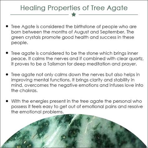 How Tree Agate Helps In Overcoming Life Storms | Gemexi Tree Agate Meaning, Tree Agate Crystal, Agate Crystal Meaning, Agate Properties, Agate Meaning, Witch Spell Book, Crystals Healing Properties, Tree Agate, Spiritual Crystals