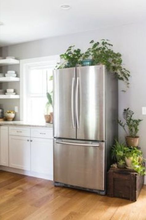 Outside Fridge Storage, Exposed Fridge Side, Space Over Fridge Ideas, Above Fridge Storage Baskets, Top Of Fridge Storage Ideas Baskets, Plants On Top Of Fridge, Decor On Top Of Fridge, Baskets On Top Of Fridge, On Top Of Fridge Decor