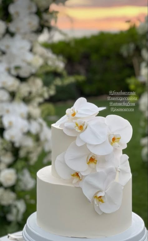 Orchid On Wedding Cake, Orchids At Wedding, Orchid Cake Wedding, White Orchid Wedding Cake, White Floral Wedding Cake, Orchid Wedding Theme, Orchid Centerpieces Wedding, Orchid Wedding Cake, White Orchids Wedding