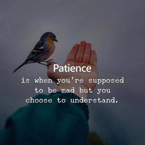 Patience Quotes, Learning Patience, How To Get Followers, Having Patience, Motivation Board, Positive Motivation, Different Quotes, Positive Mind, Sketches Easy