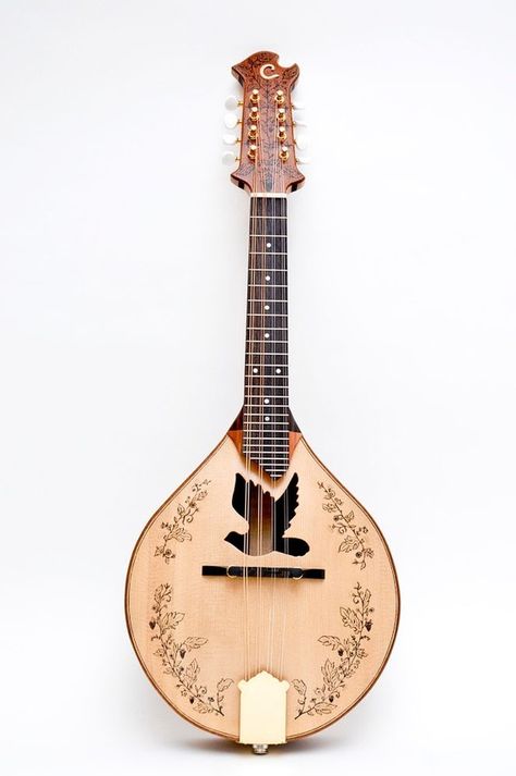 Musical Art, Ukelele, Making Music, String Instruments, Mandolin, Music Room, Sound Of Music, Musical Instrument, Banjo