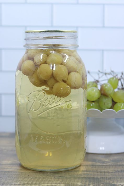 Canning Grape Juice With Whole Grapes - Homesteading in Ohio Bottled Grape Juice, Canning Whole Grapes, Grape Juice In Instant Pot, Can Grape Juice, Water Bath Canning Grape Juice, Canning Grapes For Juice, Canning Grapes Recipes, Homemade Grape Juice Concentrate, Water Bath Canning Juice