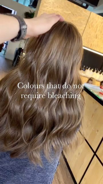 HARTS SALON on Instagram: "Colours that are achievable without bleaching ❤️ #hartsnobleach" Hair Color Ideas For Brunettes Without Bleaching, Highlight Without Bleach, Light Hair Color Without Bleach, Light Brown Without Bleach, No Bleaching Hair Color Ideas, No Bleach Highlights On Brown Hair, No Bleaching Hair Color, Brown Hair Colour Without Bleach, Hair Color With No Bleach