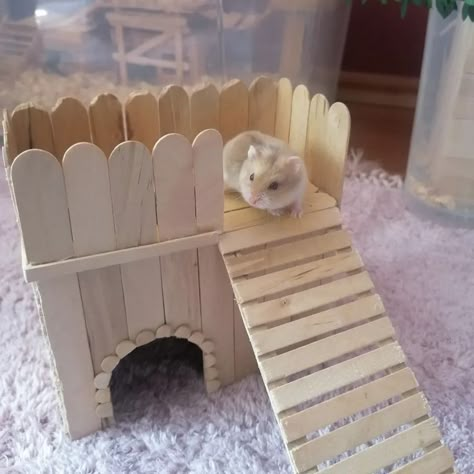 Hamster Craft, Diy Hamster Stuff, Hamster Enrichment, Hamster Diys, Diy Hamster House, Kandang Hamster, Diy Hamster Toys, Gerbil Toys, Cool Hamster Cages