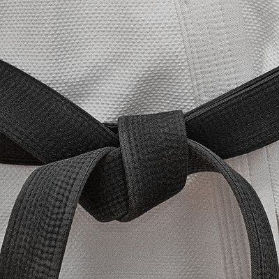 Karate Studio, Karate Picture, Belts Aesthetic, Black Belt Taekwondo, Jiu Jutsu, Women Karate, Kare Kare, Karate Kid Cobra Kai, Kid Cobra