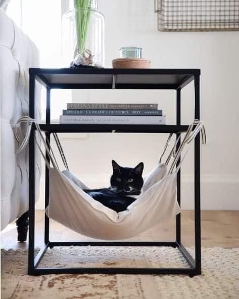 Under Table Cat Hammock Diy, Wall Basket Cat Bed, Cat Window Furniture, Cat Spots In House, Diy Cat Space, Cats Apartment Living, Diy For Cats Projects, Cute Cat Room Decor, Functional Cat Furniture