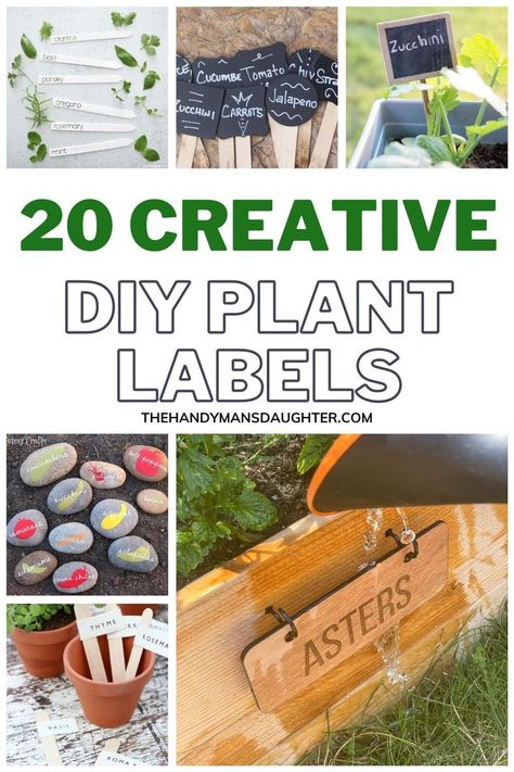 Check out these 20 creative DIY plant labels to add flair to your garden. These unique and personalized markers keep track of what's growing! Diy Plant Identification Tags, Plant Tags Diy, Garden Labels Diy, Plant Identification Tags, Plant Labels Diy, Plant Markers Diy, Garden Markers Diy, Garden Plant Markers, Herb Labels