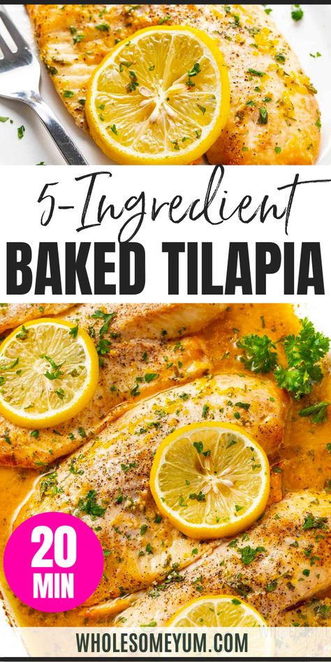 Baked Tilapia Baked Tilapia From Frozen, Roasted Tilapia And Vegetables, Crispy Oven Baked Tilapia, Lemon Basil Tilapia, Lemon Garlic Butter Tilapia, Tilapia Paleo Recipes, Low Calorie Tilapia Meals, Healthy Baked Tilapia, Dill Tilapia Recipes