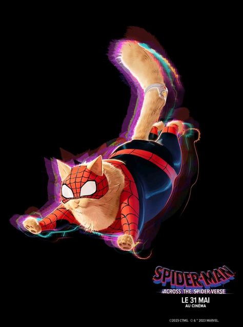 Spider Cat, All Spiderman, Spider Man Across The Spider Verse, Image Spiderman, Marvel Animation, Across The Spider Verse, Cat Frame, Spiderman 3, 8k Wallpaper