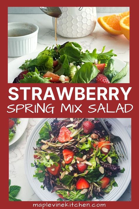 This strawberry spring salad recipe is a true gem, combining simplicity and elegance in every bite. Picture this: a bed of crisp spring mix lettuces adorned with luscious red strawberries and a sprinkling of toasted almonds, all harmoniously tossed together with a bright and tangy balsamic citrus vinaigrette dressing. Spring Mix Strawberry Salad Recipes, Strawberry Spring Mix Salad, Spring Mix Salad Recipes Simple, Citrus Vinaigrette Dressing, Spring Mix Salad Recipes, Honey Balsamic Dressing, Strawberry Salad Recipe, Mix Salad, Spring Mix Salad