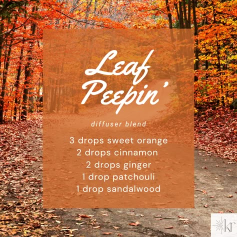 Leaf Peepin’ essential oil diffuser blend: 3 drops sweet orange, 2 drops cinnamon, 2 drops ginger, 1 drop patchouli, 1 drop sandalwood Ginger Diffuser Blend, Ginger Essential Oil Blends, Essential Oil Candle Blends, Orange Essential Oil Blends, Eo Blends, Thanksgiving Essentials, Canned Strawberries, Diffuser Oils, Fall Diffuser Blends