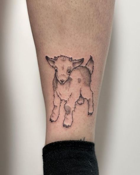 Chanti :) on Instagram: "baby goat🐐 done on @alinalligatoah <3 - - - - - - tags: #tattoo #tattoos #tat #goat #goattattoo #babygoat #smalltattoo #cutetattoo #blackink #ink #art #linework #whipshading #blackwork #tattooartist #youngartist #cheyennetattooequipment #cheyenne #artistsoninstagram" Pygmy Goat Tattoo, Goat Face Tattoo, Cartoon Goat Tattoo, Mini Goat Tattoo, Goat Zodiac Tattoo, Goat Tattoos For Women, Fine Line Goat Tattoo, Sheep Tattoo Cute, Two Headed Goat Tattoo