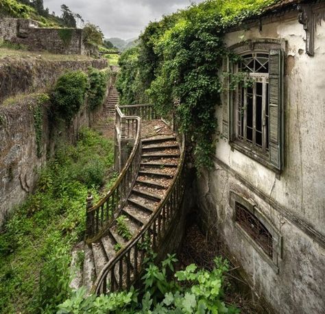 15+ Photos of Places Where Nature Took Back Control / Bright Side Desert Places, Haunted Places, Abandoned Buildings, Abandoned Houses, Beautiful Architecture, Abandoned Places, Rhode Island, Old Houses, Beautiful Nature