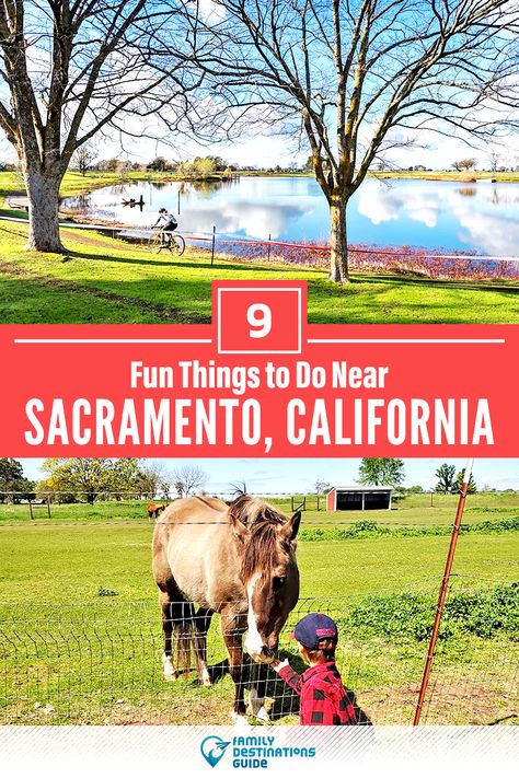 Day Trips From Sacramento Ca, Things To Do Sacramento Ca, Things To Do In Sacramento California, Things To Do In Sacramento, Indoor Date Ideas, Sac State, Indoor Things To Do, Beach Road Trip, California Travel Guide