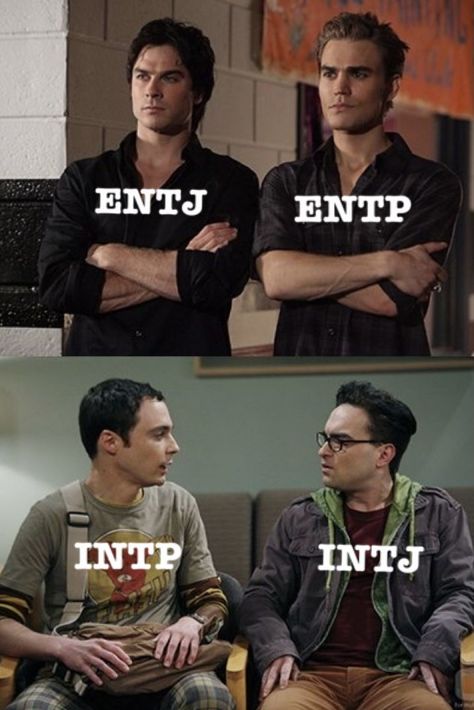 Entj Relationships, Infj And Entp, Entp And Intj, Entj Personality, Entj Entp, Infj Psychology, Mbti Test, Intp Personality Type, Intj T