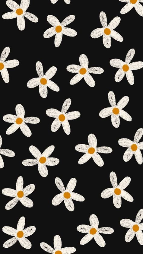 Wallpaper With Black, Wallpaper Photography, Red Daisy, Black Backdrop, Flowery Wallpaper, Simple Phone Wallpapers, 카드 디자인, Watch Wallpaper, Preppy Wallpaper