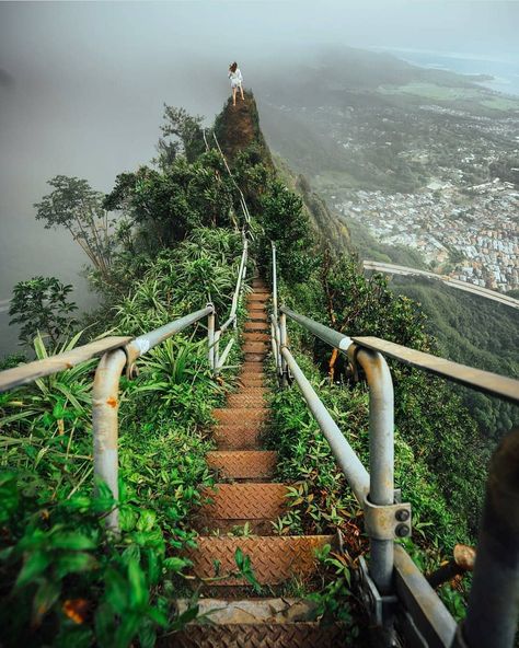 🍍 Hawaii 🍍’s Instagram post: “And she's buying the stairway to heaven... Oahu, Hawaii  Photo by @andyhvu  #nakedhawaii” Stairway To Heaven Hawaii, Hawaii Instagram, Gent Belgium, Learning Platform, Stairway To Heaven, Beautiful View, Oahu Hawaii, To Heaven, Most Beautiful Places